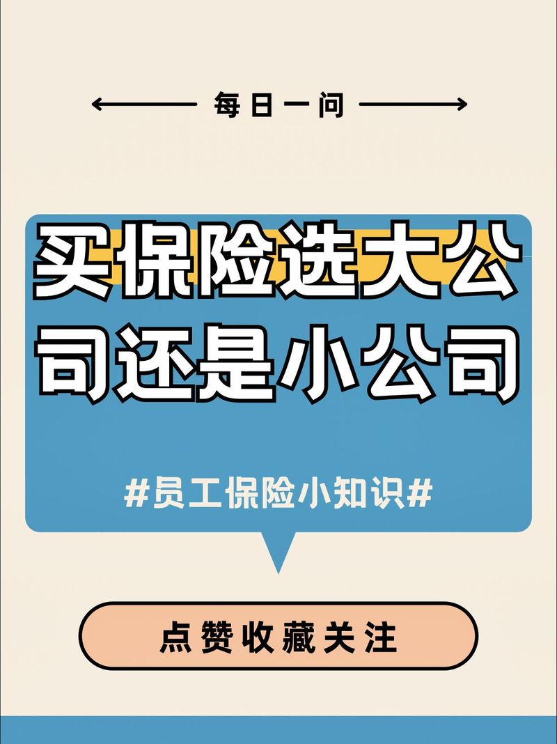 拍拍用借款全国统一人工客户端-第4张图片-优品飞百科