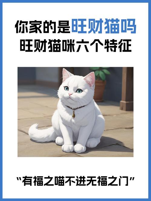 招财猫借款24小时在线服务-第2张图片-优品飞百科