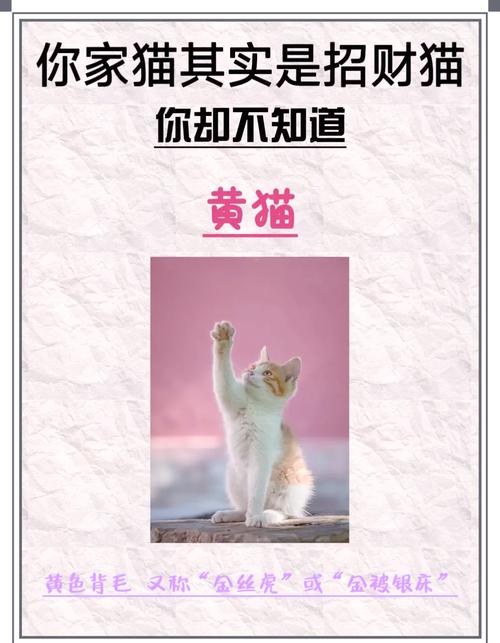 招财猫借款24小时在线服务-第3张图片-优品飞百科