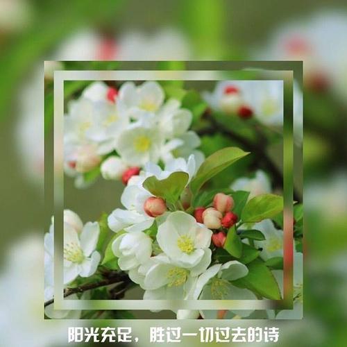 来趣花有限公司客户端电话-第3张图片-优品飞百科