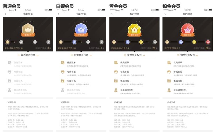 铂金花APP24小时在线服务-第2张图片-优品飞百科