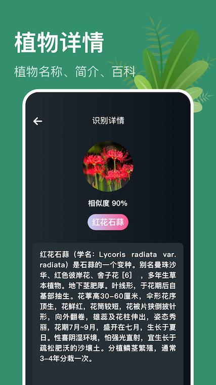 射手花APP全国统一24小时在线-第2张图片-优品飞百科