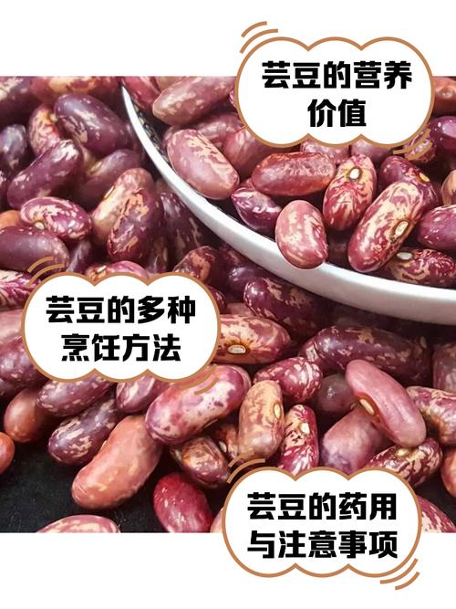 芸豆分全国统一24小时在线-第3张图片-优品飞百科