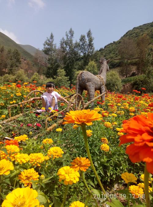 来趣花有限公司客户端电话-第4张图片-优品飞百科