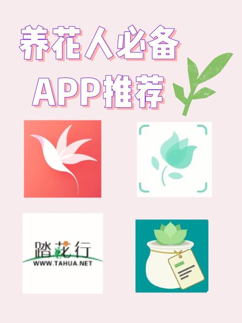 红星花APP全国统一人工客户端