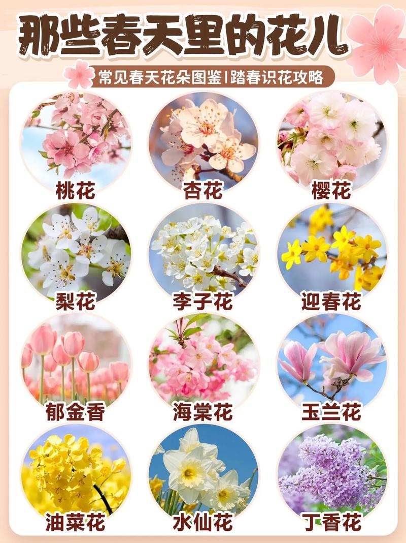 花花分期全国统一客户端电话