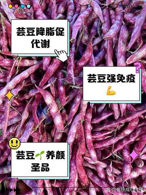 芸豆分全国统一24小时在线-第3张图片-优品飞百科