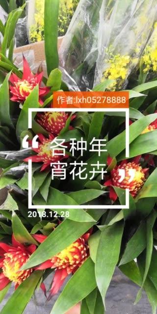 红星花有限公司客户端电话-第3张图片-优品飞百科