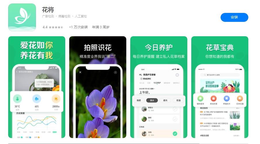 极借花APP全国统一24小时在线