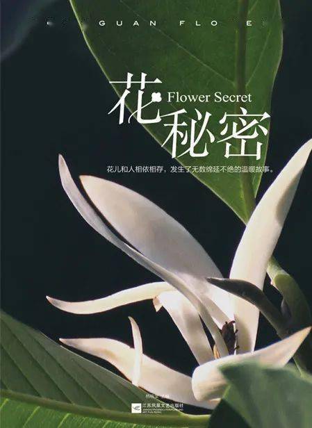 极借花平台24小时客户端电话-第3张图片-优品飞百科