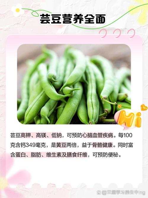 芸豆分全国统一24小时在线-第4张图片-优品飞百科