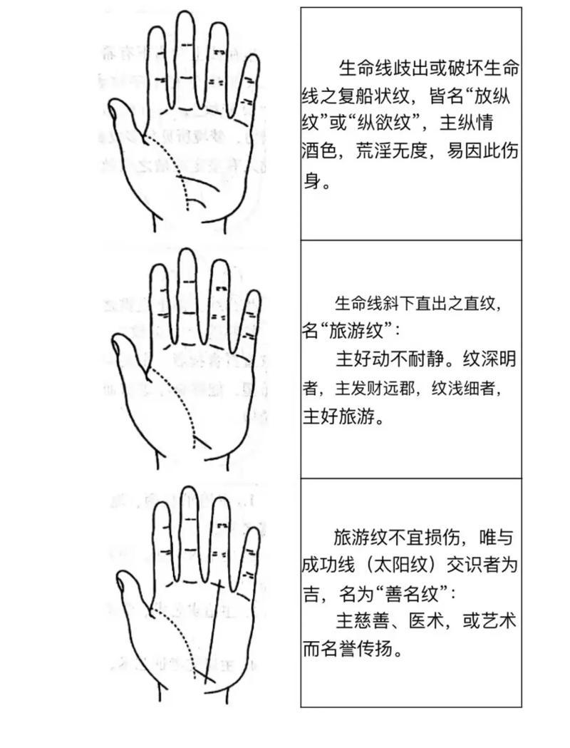 一加一加一加一最强大脑？最强的大脑一加十打一字？-第5张图片-优品飞百科