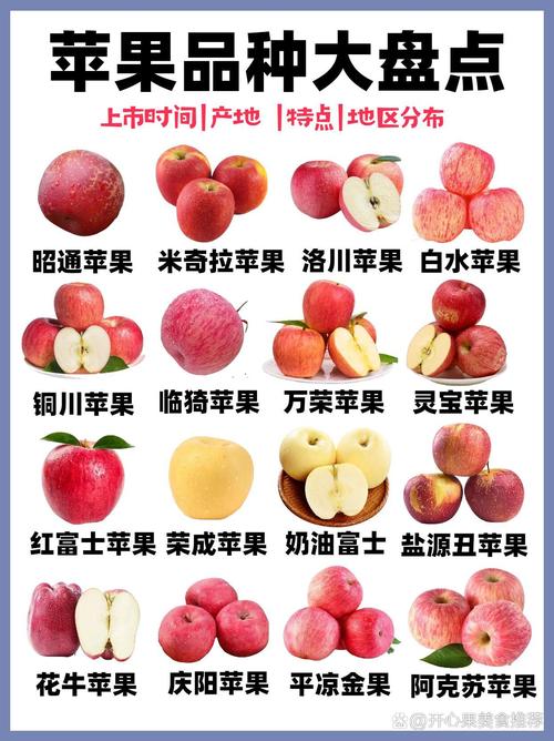 iphone的产品类型是什么？iphone的产品类型跟型号？-第1张图片-优品飞百科