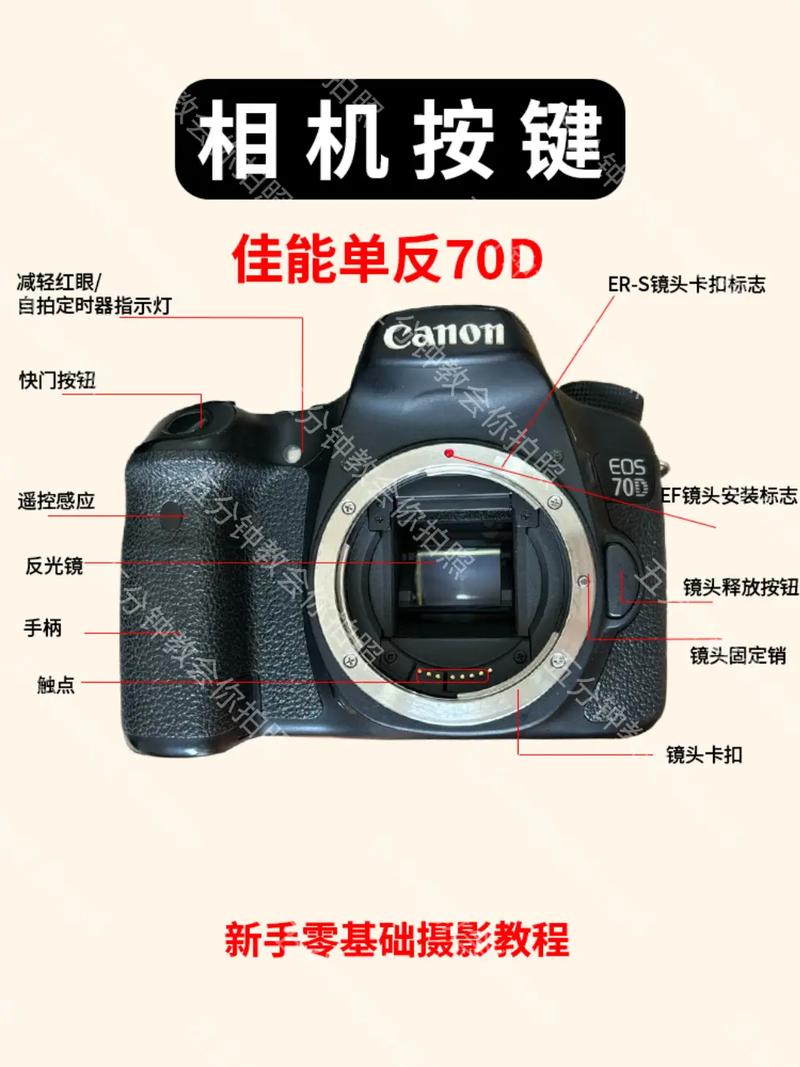 佳能7d怎么屏幕取景拍照，佳能7d拍摄视频技巧-第2张图片-优品飞百科