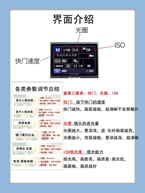 佳能7d怎么屏幕取景拍照，佳能7d拍摄视频技巧-第4张图片-优品飞百科