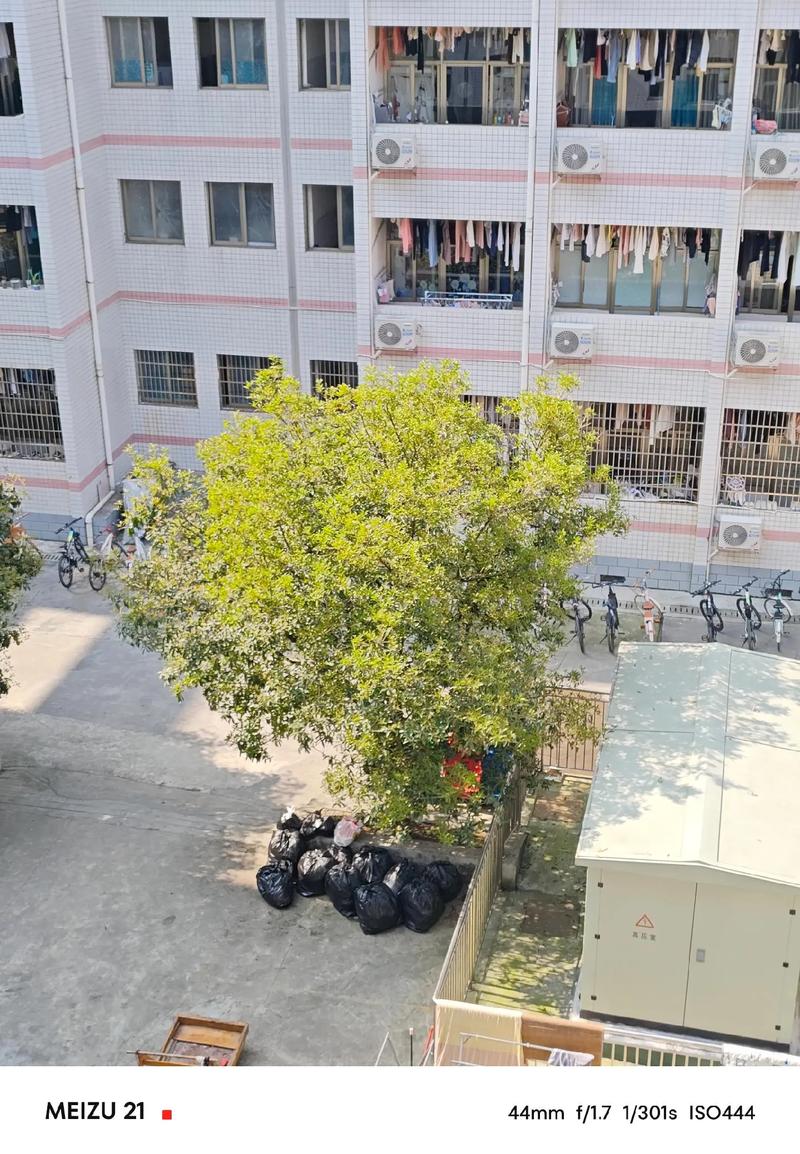 魅族16spro拍照对比，魅族16s pro拍照什么水平？-第4张图片-优品飞百科