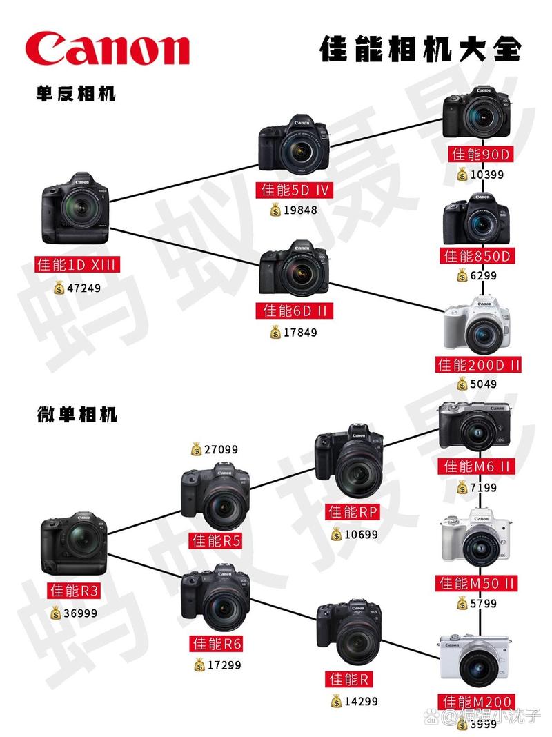 傻瓜相机是数码相机吗,傻瓜相机是什么样的?-第3张图片-优品飞百科 傻瓜相机是数码相机吗,傻瓜相机是什么样的?-第3张图片-优品飞百科