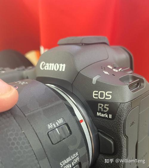 佳能5d3和1dx2哪个画质好？佳能1dx2好还是5d4好？-第1张图片-优品飞百科