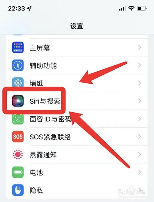 苹果怎么呼叫siri，苹果怎么呼叫siri清理灰尘-第3张图片-优品飞百科