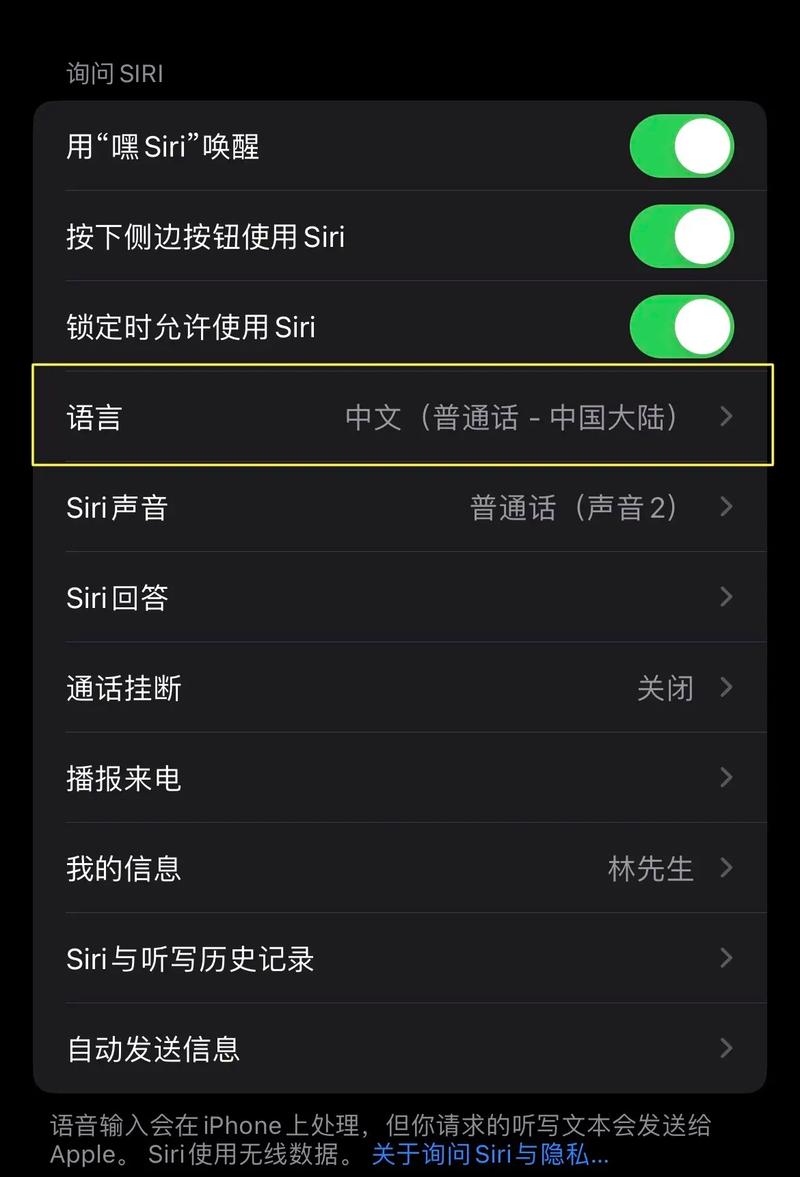 苹果怎么呼叫siri，苹果怎么呼叫siri清理灰尘-第5张图片-优品飞百科