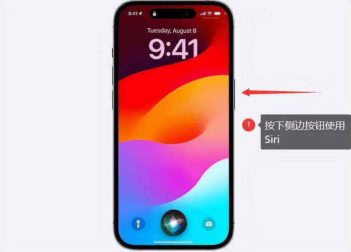 苹果怎么呼叫siri，苹果怎么呼叫siri清理灰尘-第4张图片-优品飞百科