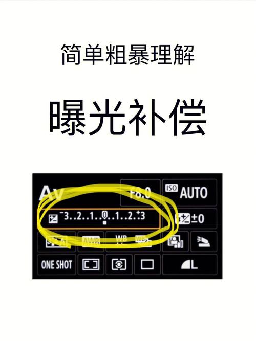 尼康单反相机对焦微调加减号代表啥，尼康自动对焦微调？-第5张图片-优品飞百科