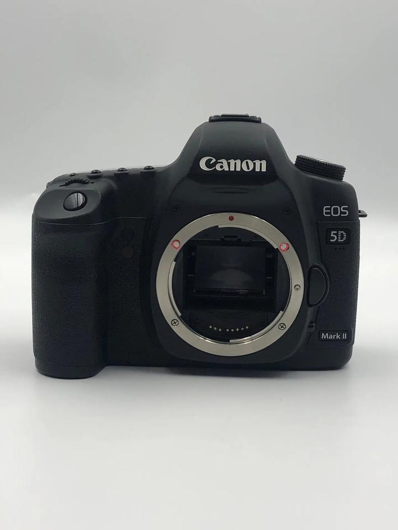 佳能5d2开售费用，佳能5d2单反相机费用？-第6张图片-优品飞百科