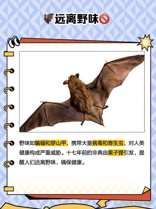 疫情后野味，疫情还未结束 “野味”又重出市场?-第1张图片-优品飞百科