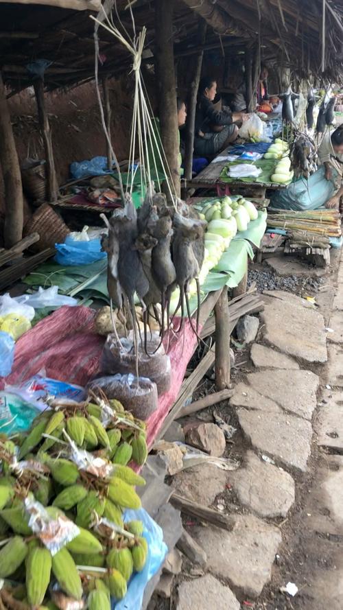 疫情后野味，疫情还未结束 “野味”又重出市场?-第4张图片-优品飞百科