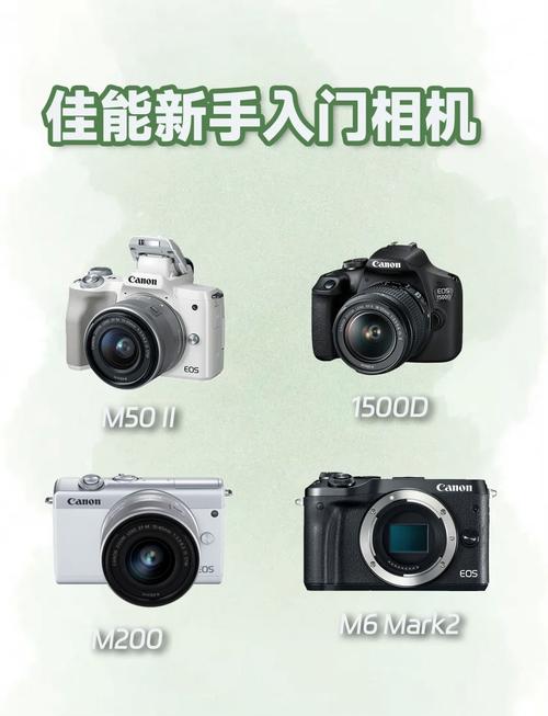 入门单反和中高端区别，入门级别的单反推荐-第2张图片-优品飞百科