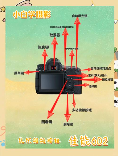 入门单反和中高端区别，入门级别的单反推荐-第3张图片-优品飞百科