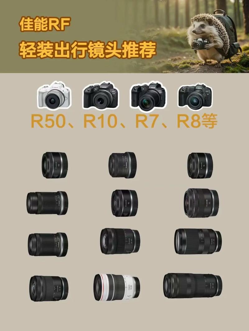 佳能rf？佳能rf镜头大全？-第5张图片-优品飞百科