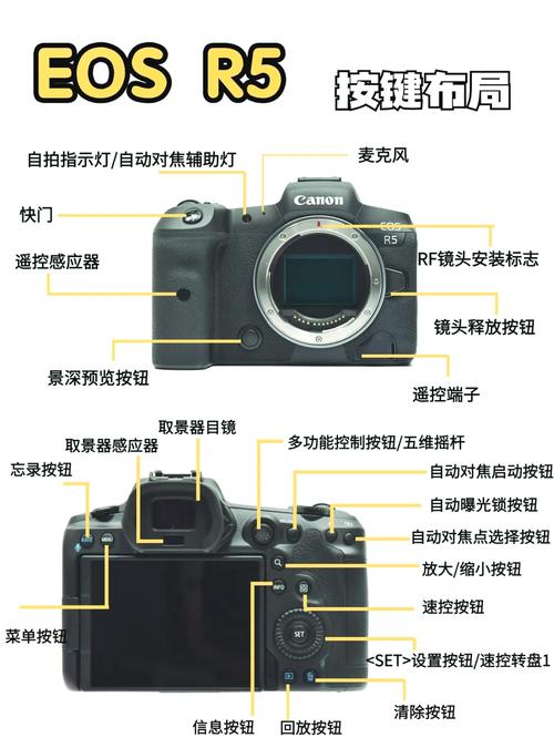 佳能rf？佳能rf镜头大全？-第6张图片-优品飞百科