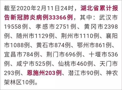 鄂州疫情战时,疫情湖北鄂州-第3张图片-优品飞百科 鄂州疫情战时,疫情湖北鄂州-第3张图片-优品飞百科