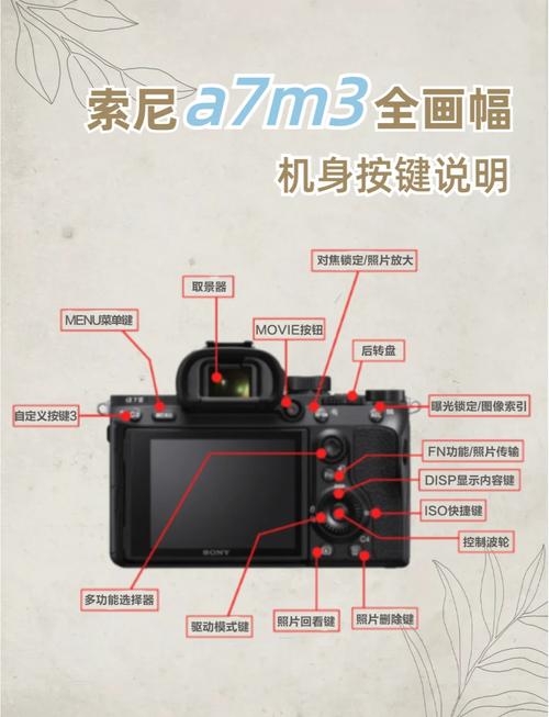 索尼a9和a99二代区别，索尼a9和a9ii区别-第4张图片-优品飞百科