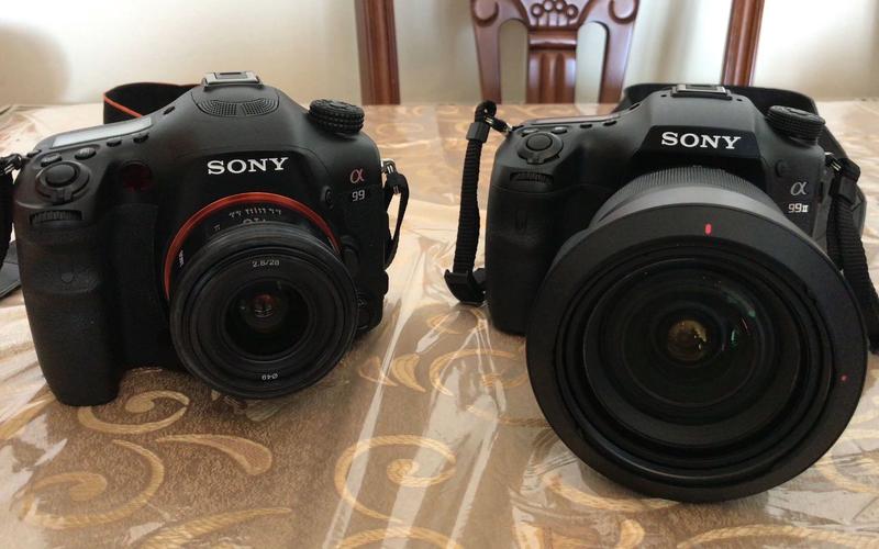 索尼a9和a99二代区别，索尼a9和a9ii区别-第5张图片-优品飞百科