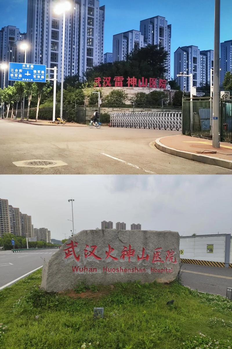 此次疫情名称，这次疫情名称？-第2张图片-优品飞百科