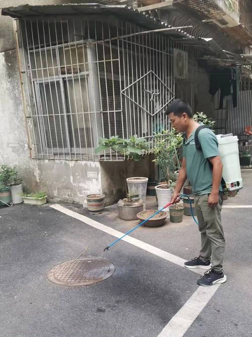 疫情不给租？疫情期间租户不交租金怎么办？-第2张图片-优品飞百科