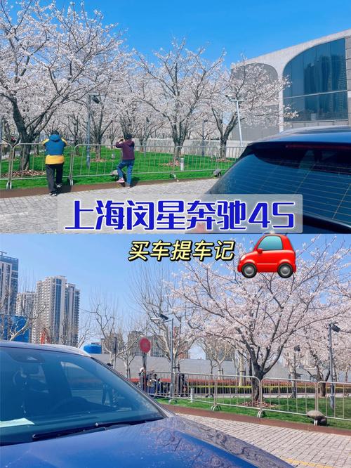 疫情和买车，疫情买车有政府补贴？-第3张图片-优品飞百科