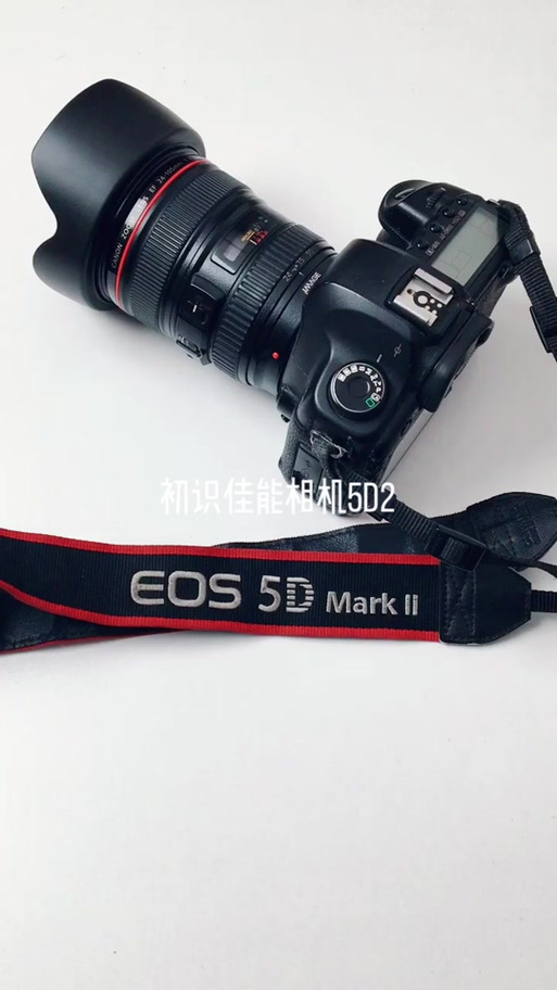 还有人用佳能5d2吗，佳能5d2单反相机怎么样？-第3张图片-优品飞百科