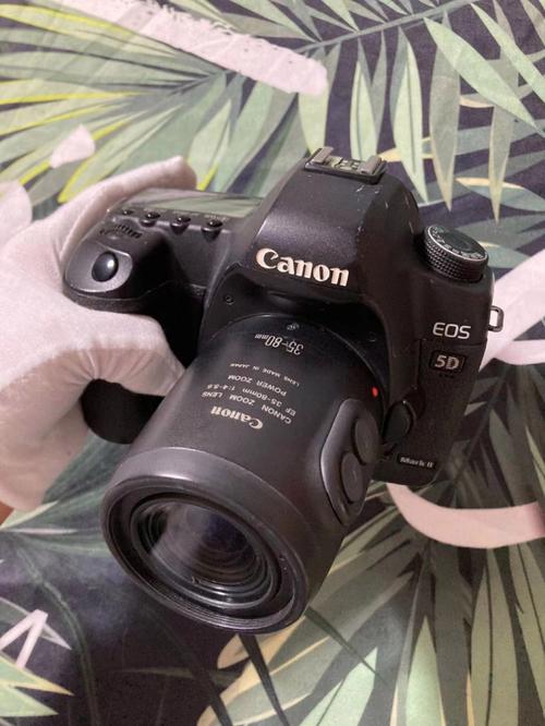 还有人用佳能5d2吗，佳能5d2单反相机怎么样？-第4张图片-优品飞百科