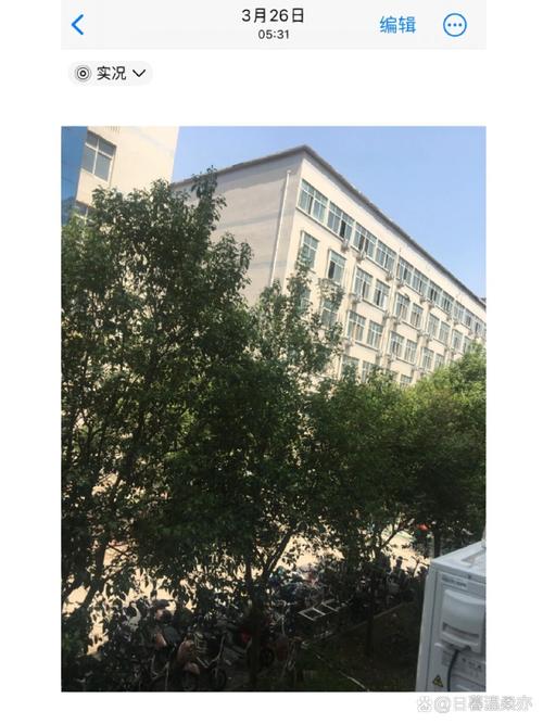 6s和6sp处理器一样吗？苹果6s和6splus都是什么处理器？-第5张图片-优品飞百科