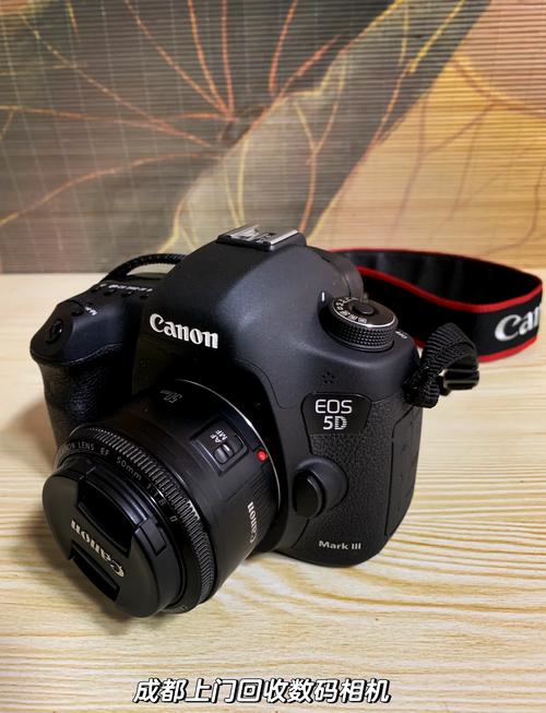 佳能5d3现在可以卖多少钱，佳能5d3现在可以卖多少钱一台-第5张图片-优品飞百科