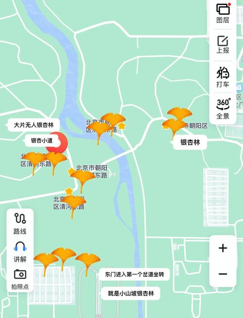 奥森公园疫情，奥森公园疫情期间开放吗？