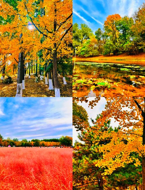 奥森公园疫情，奥森公园疫情期间开放吗？-第7张图片-优品飞百科