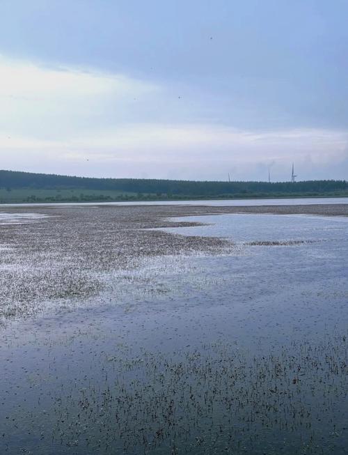内疫情蒙古，蒙古疫情消息-第6张图片-优品飞百科