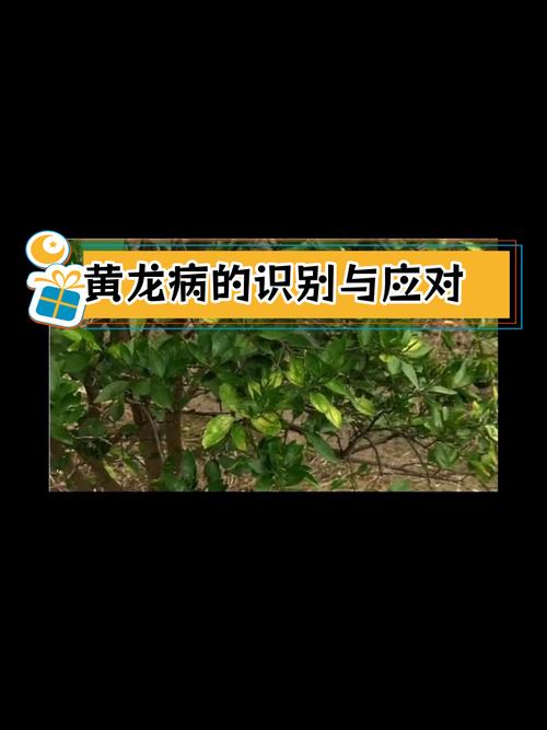 疫情回归分析，疫情形势回暖？-第4张图片-优品飞百科