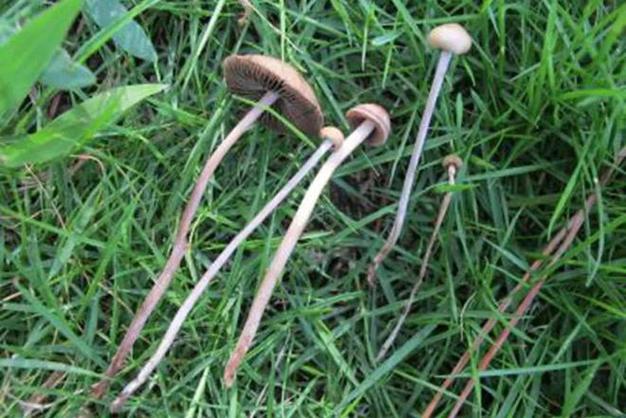 北京疫情序列，北京疫情梳理时间表-第3张图片-优品飞百科