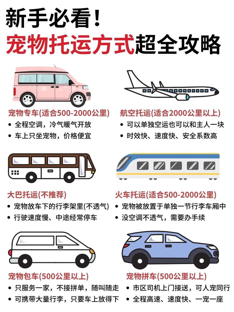 疫情宠物空运？宠物空运停运了吗？-第8张图片-优品飞百科