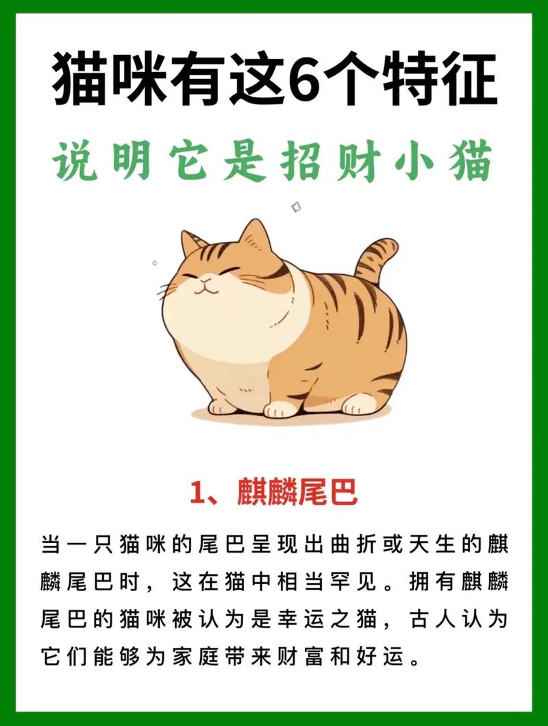 招财猫平台客服电话